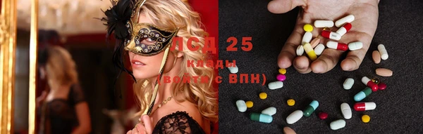 2c-b Новодвинск