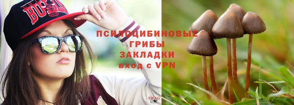 мяу мяу мука Новозыбков